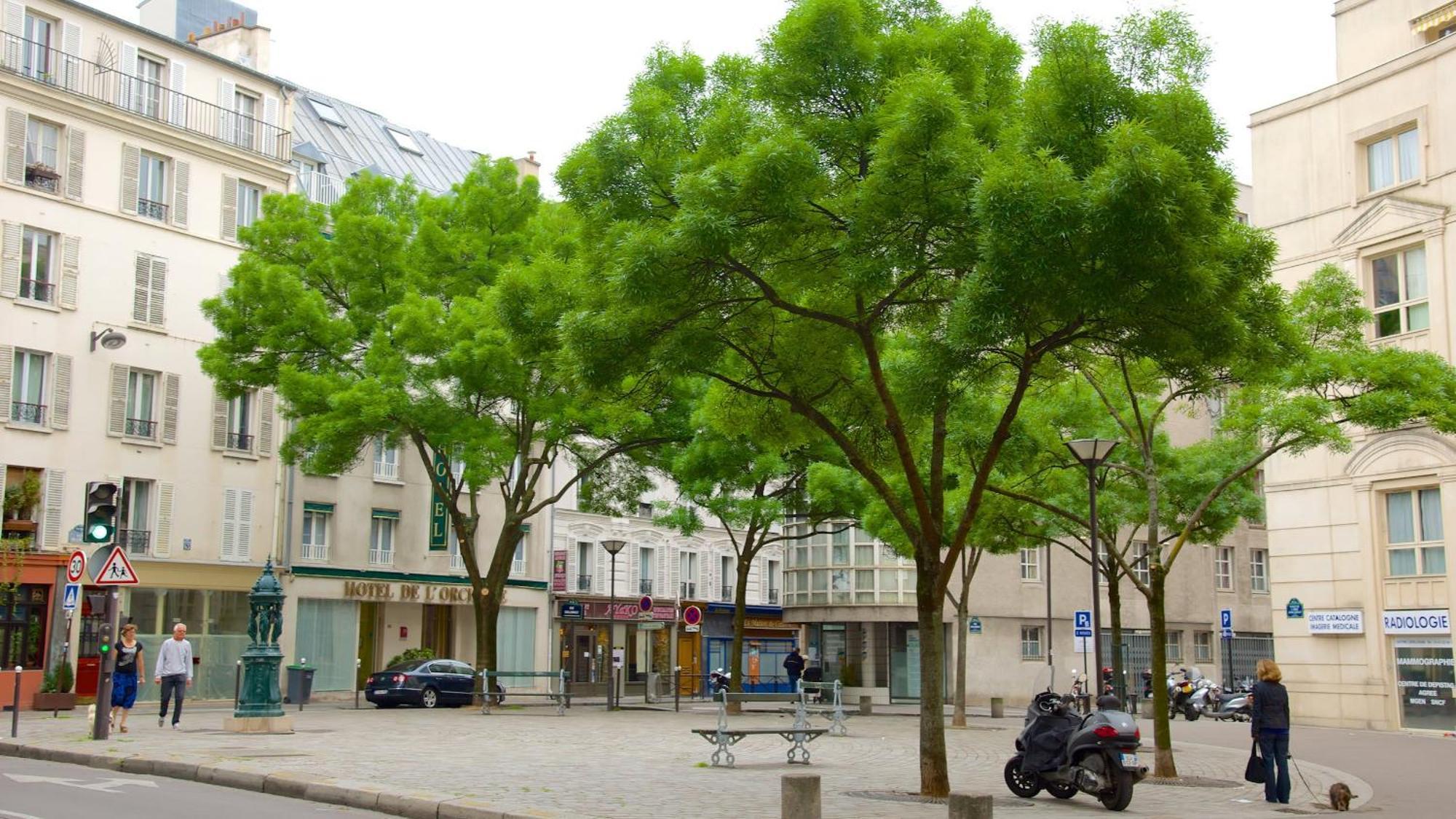 Cosy Hideaway Near Montparnasse Διαμέρισμα Παρίσι Εξωτερικό φωτογραφία